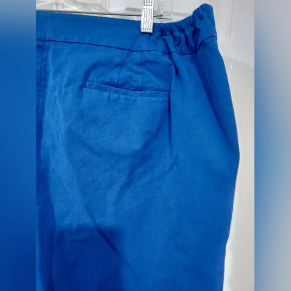 Talbots Woman Royal Blue Chatham Slim Ankle Pants in Size 20W (Wide) - Picture 7 of 12